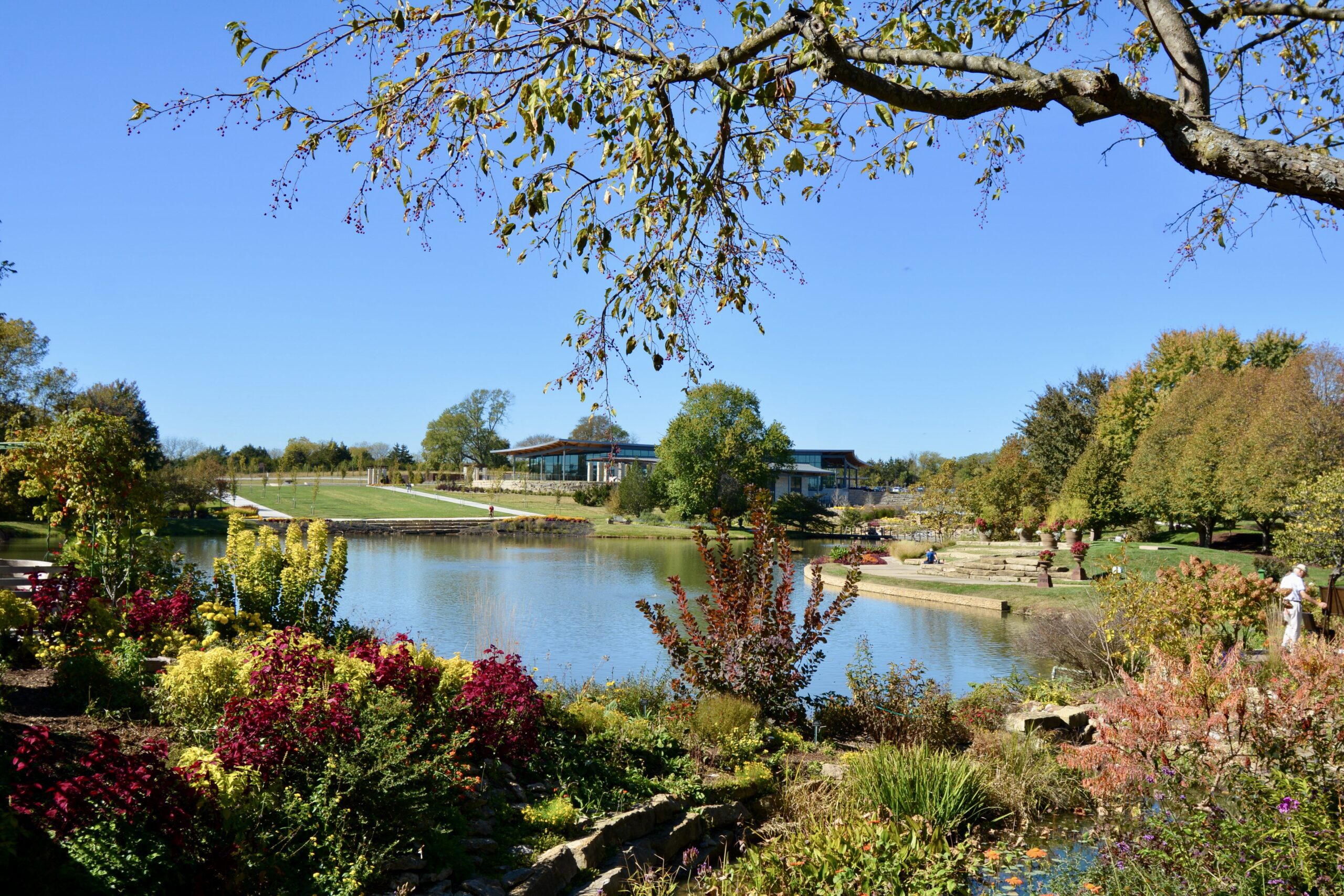 Stunning Large Pond Construction