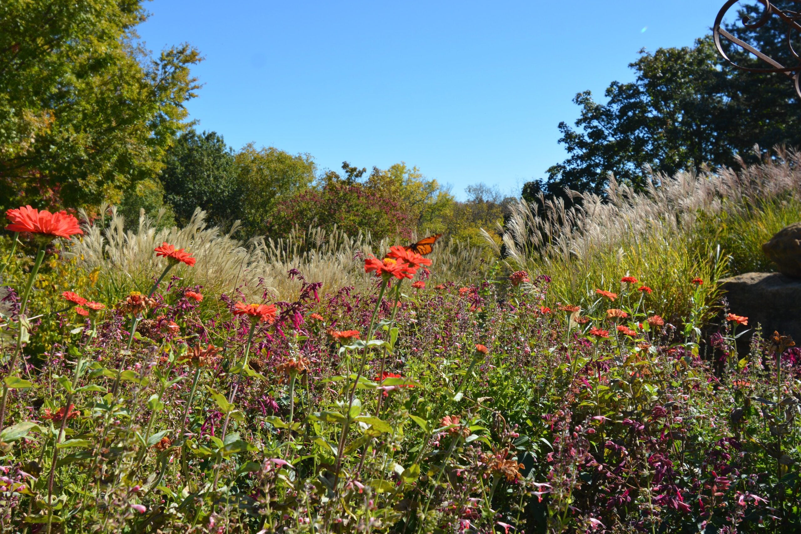 Flowers In A Meadow