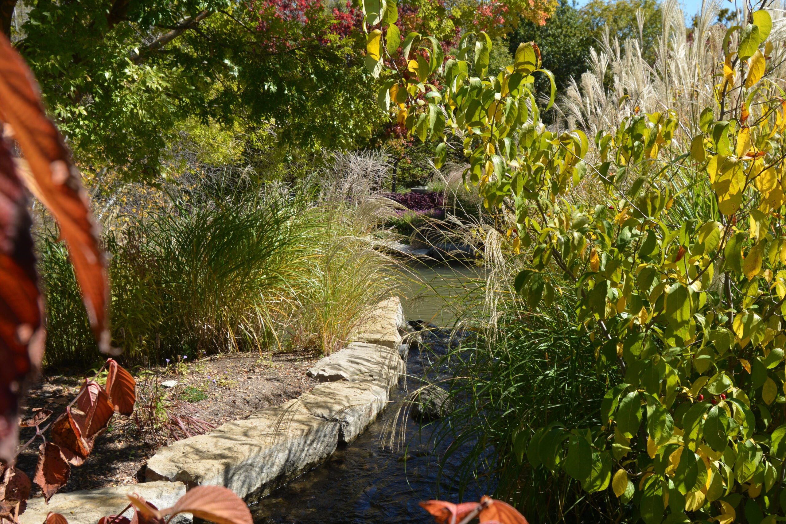 Lovely Creek