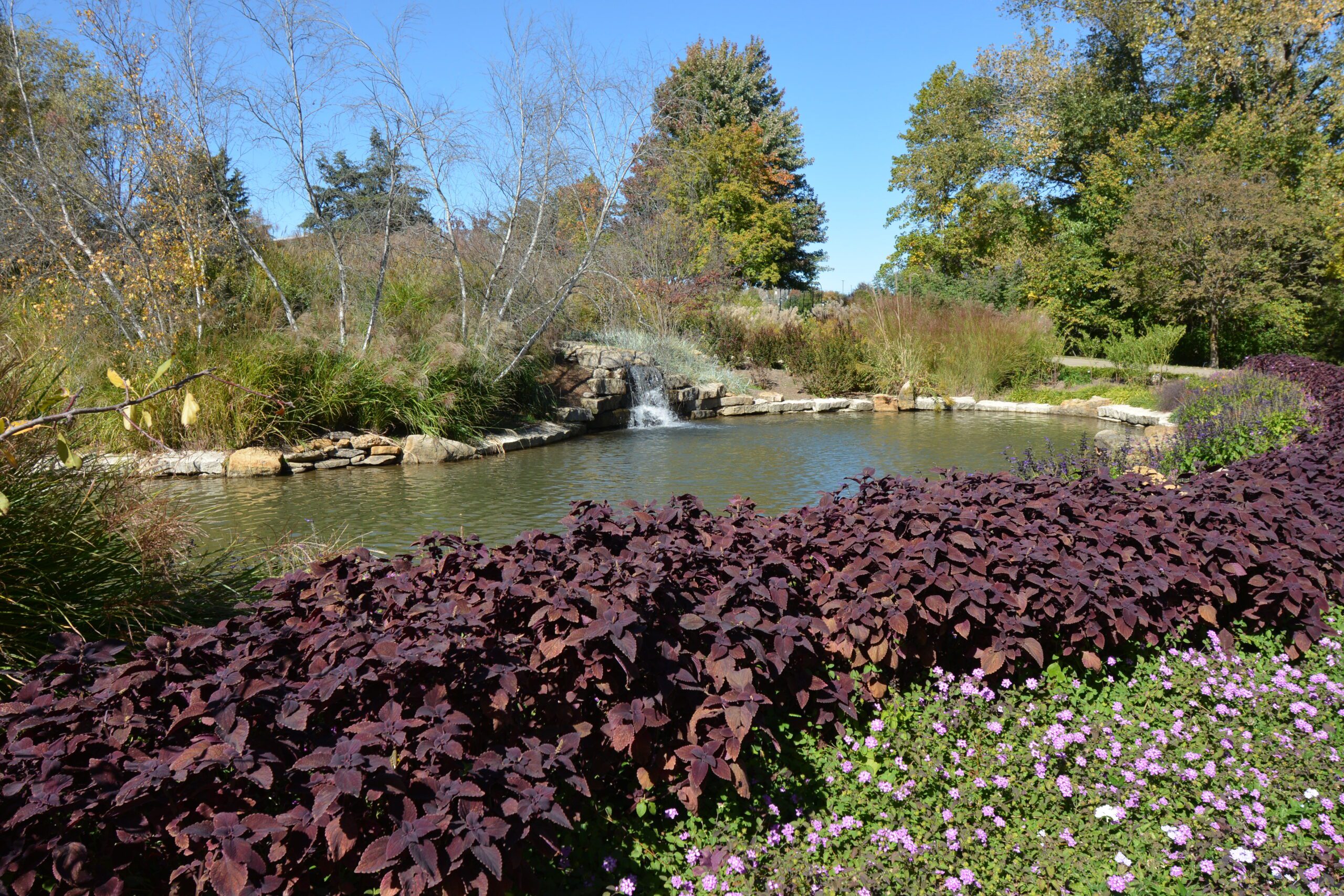 Stunning Large Pond Construction