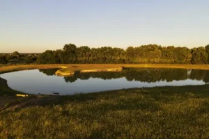 The-answer-to-how-much-does-it-cost-to-build-a-pond-depends-a-lot-on-the-features-such-as-the-peninsula-seen-in-this-pond - Bulletproof Pond and Lake - Bulletproof Pond and Lake The answer to how much does it cost to build a pond depends a lot on the features, such as the peninsula seen in this pond